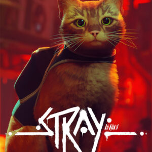 Stray